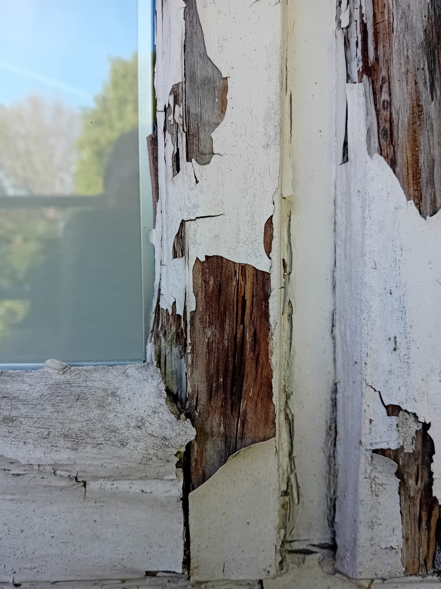 Casement window before restoration — severe rot and paint failure on stile